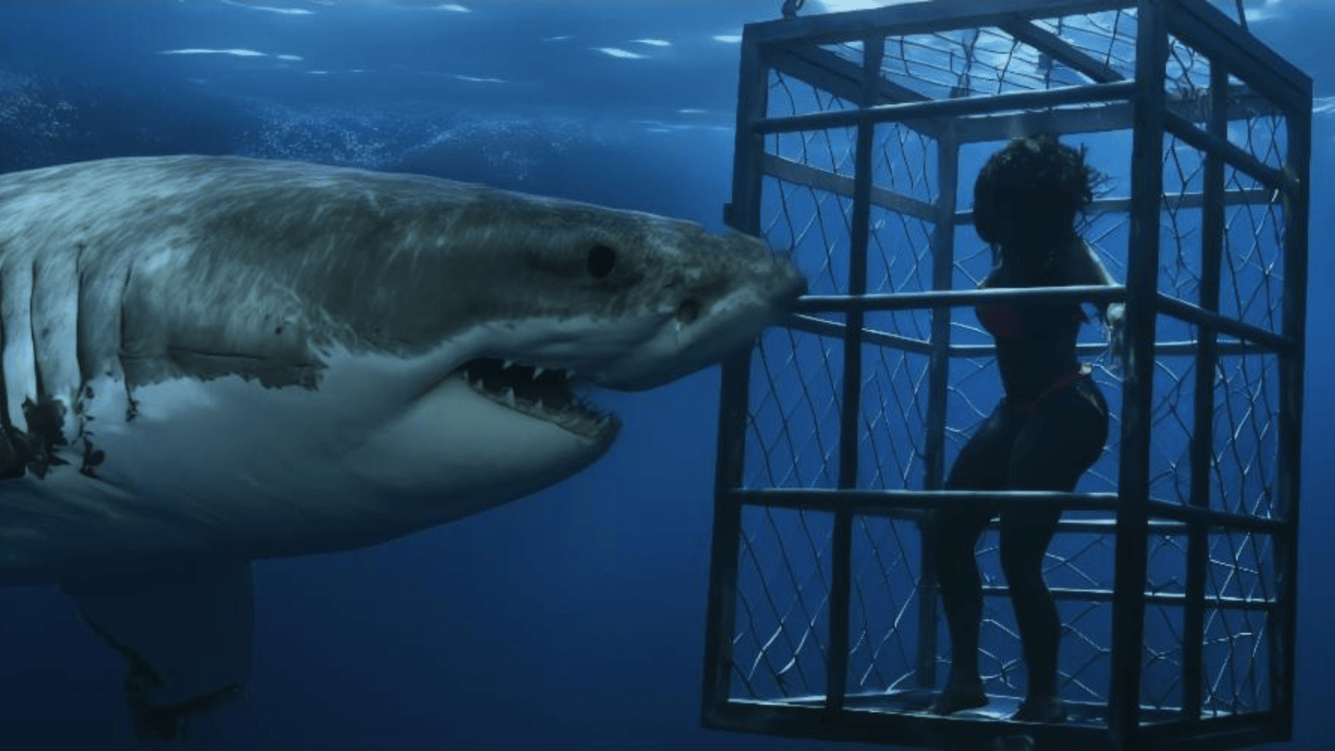 Creature Feature Showdown: 'Chum' vs 'Hungry'