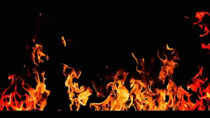 ACCEPT ’Too Mean To Die’