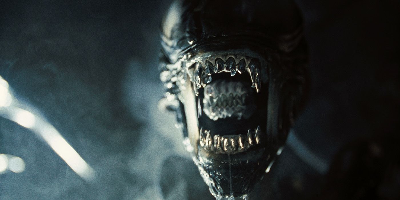 The Full Trailer for Alien: Romulus Is Scary As Hell
