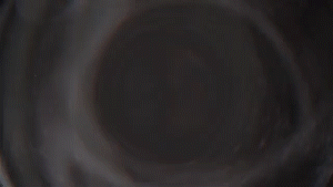 Alter Bridge ’Last Rites’