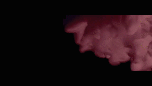 Architects ’Animals’