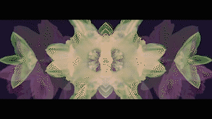 Calyces ’Those Flames are Dancing Wild’