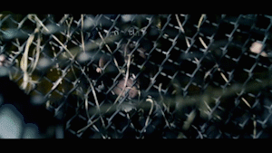 Cro-Mags - From the Grave