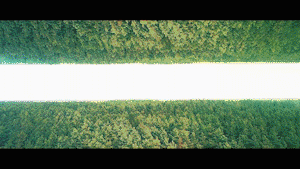 Currents ’A Flag to Wave’