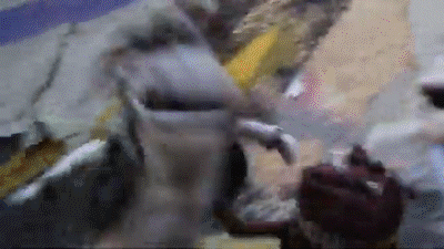 Death Tour ’Risk’ ft. Nascar Aloe & Apolloislame