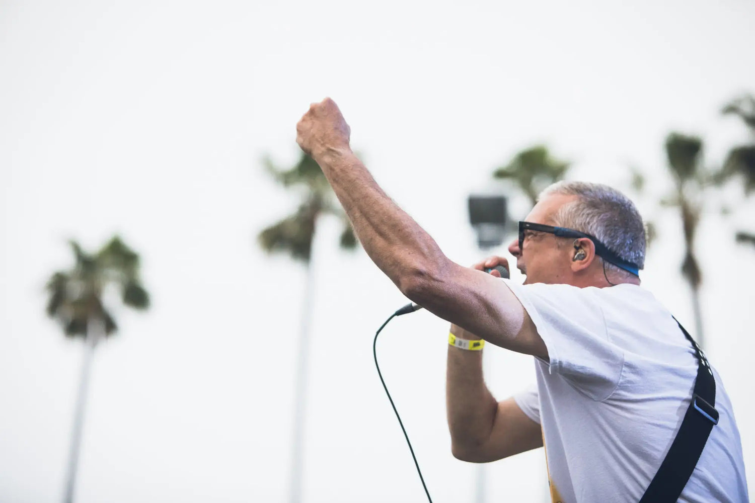 Descendents The Vandals Dead Kennedys Top Punk In the Park San Francisco