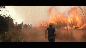 Gojira ’Amazonia’