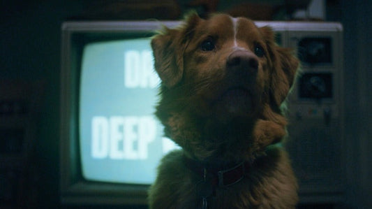 ’Good Boy’ Gives a Canine’s Eye-View of Supernatural Haunts