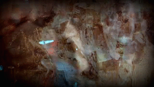 Hatebreed ’Cling to Life’