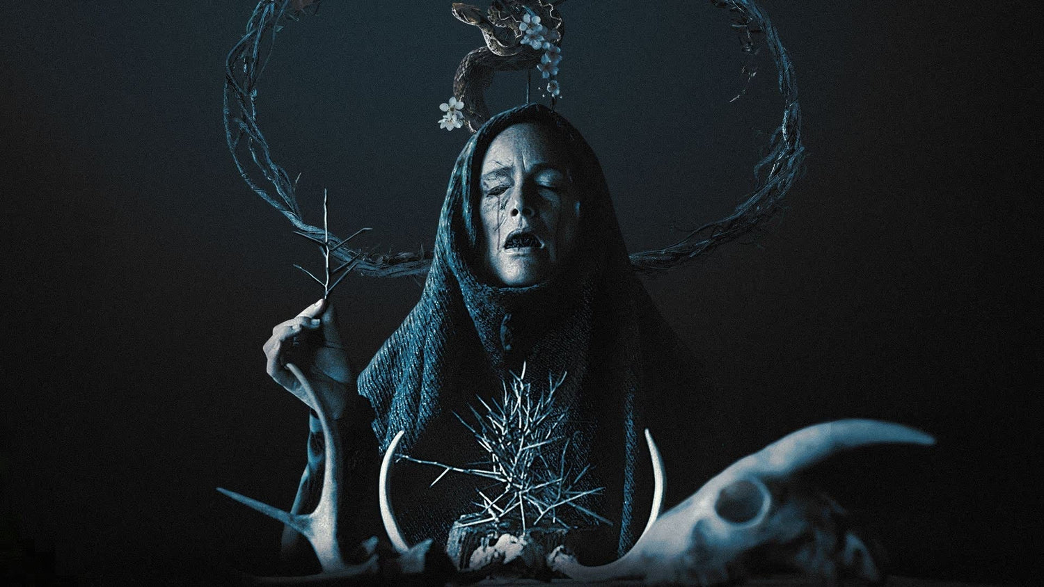 'Mother of Flies' is Grotesquely Beautiful