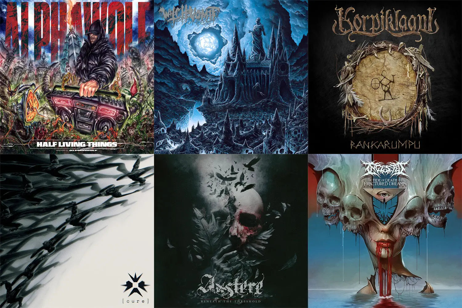 New Flesh 4/5: Releases From Witch Vomit Austere Ingested & More!