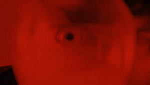 Normandie ’Holy Water’