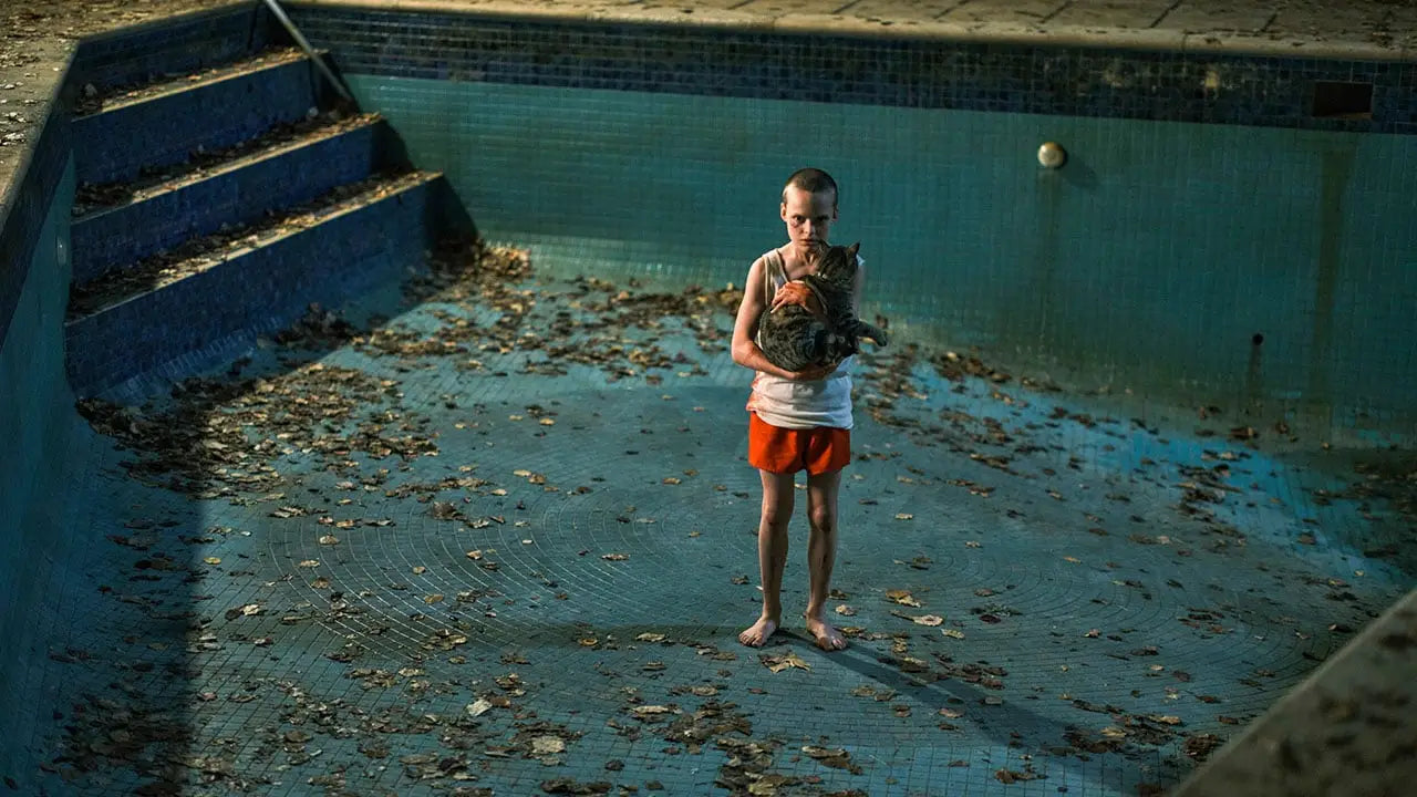 The Best Horror Movies of 2025