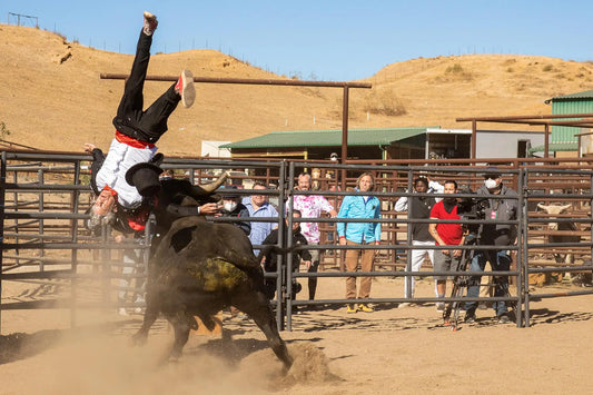 Watch the official trailer for the franchise finale of Jackass Forever