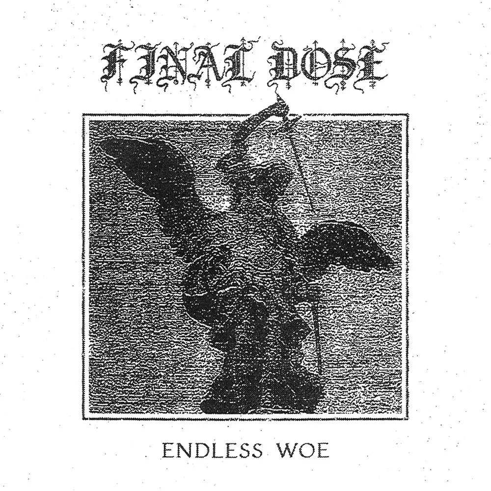 NEW FLESH: Releases From HANABIE. MØL FINAL DOSE and More