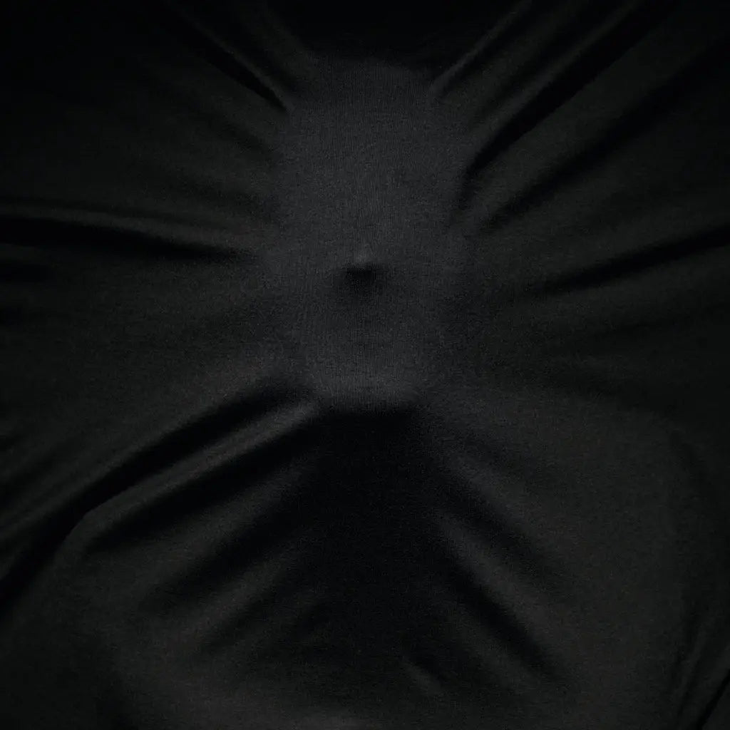 Listening to the Heart’s Blood: Satyr on the Satyricon & Munch exhibition and album