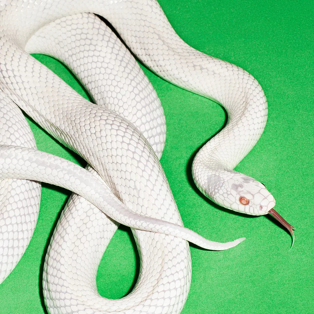 Deftones Announce ’Private Music’ Album Preview Events