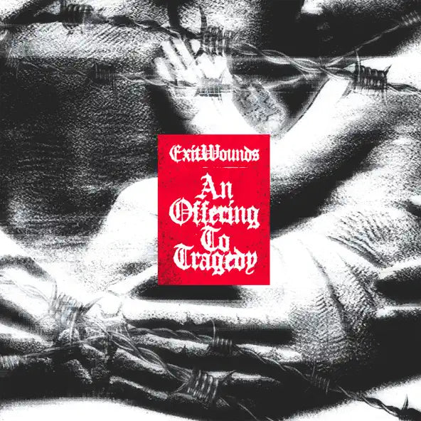 NEW FLESH: Releases From THE PRETTY WILD GASKET ANNISOKAY and More