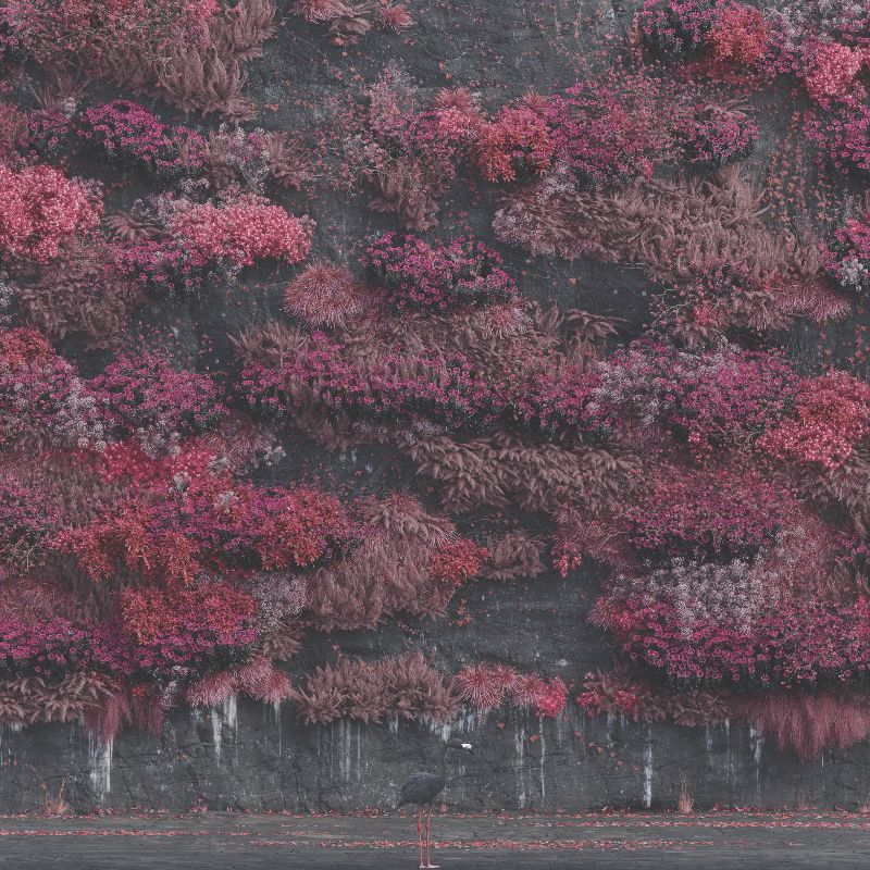 Even In Arcadia: Sleep Token Pitch a Battle for Heavy Metal’s Soul