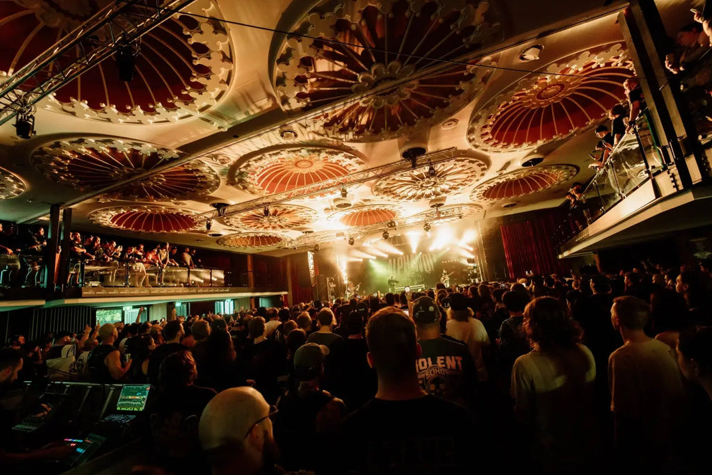 READY HUNGRY FOR MORE: ALPHA WOLF REFLECT ON AN ERA OF EVOLUTION