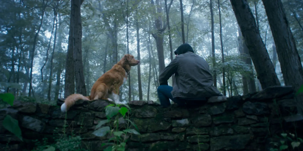 ’Good Boy’ Gives a Canine’s Eye-View of Supernatural Haunts