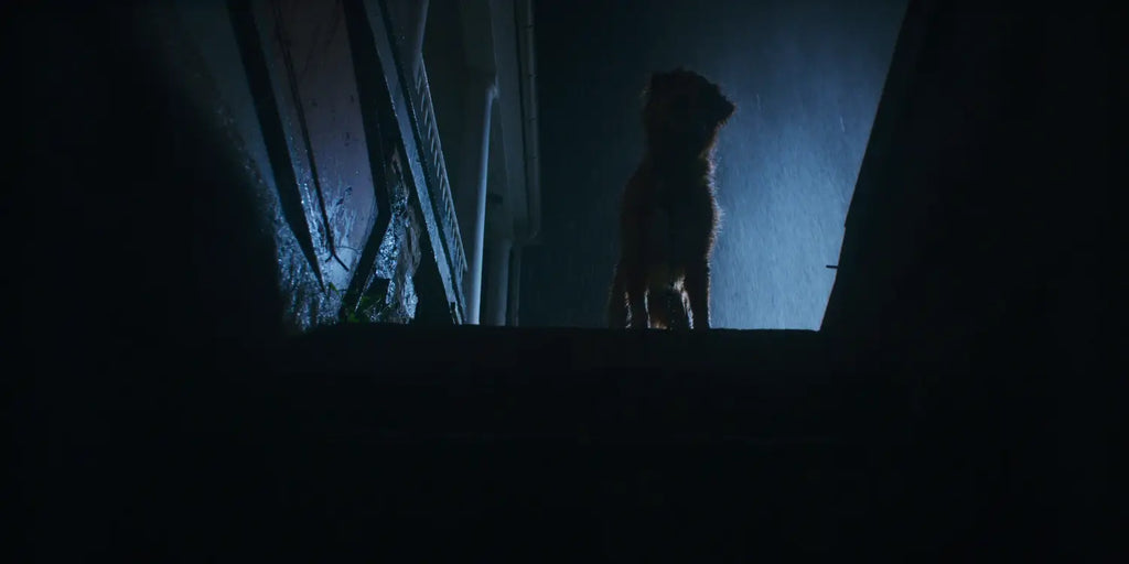 ’Good Boy’ Gives a Canine’s Eye-View of Supernatural Haunts