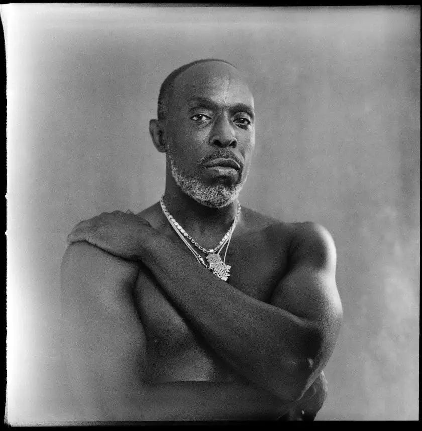 Michael K. Williams Star of ’The Wire’ ’Boardwalk Empire’ ’Lovecraft Country’ and More Passes Away at 54