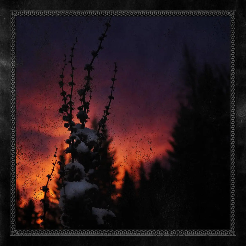 BLACKBRAID To Release New EP ’Nocturnal Womb,’ this week