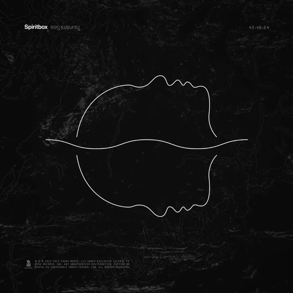 Editorial Picks: The Best Albums of 2025 So Far