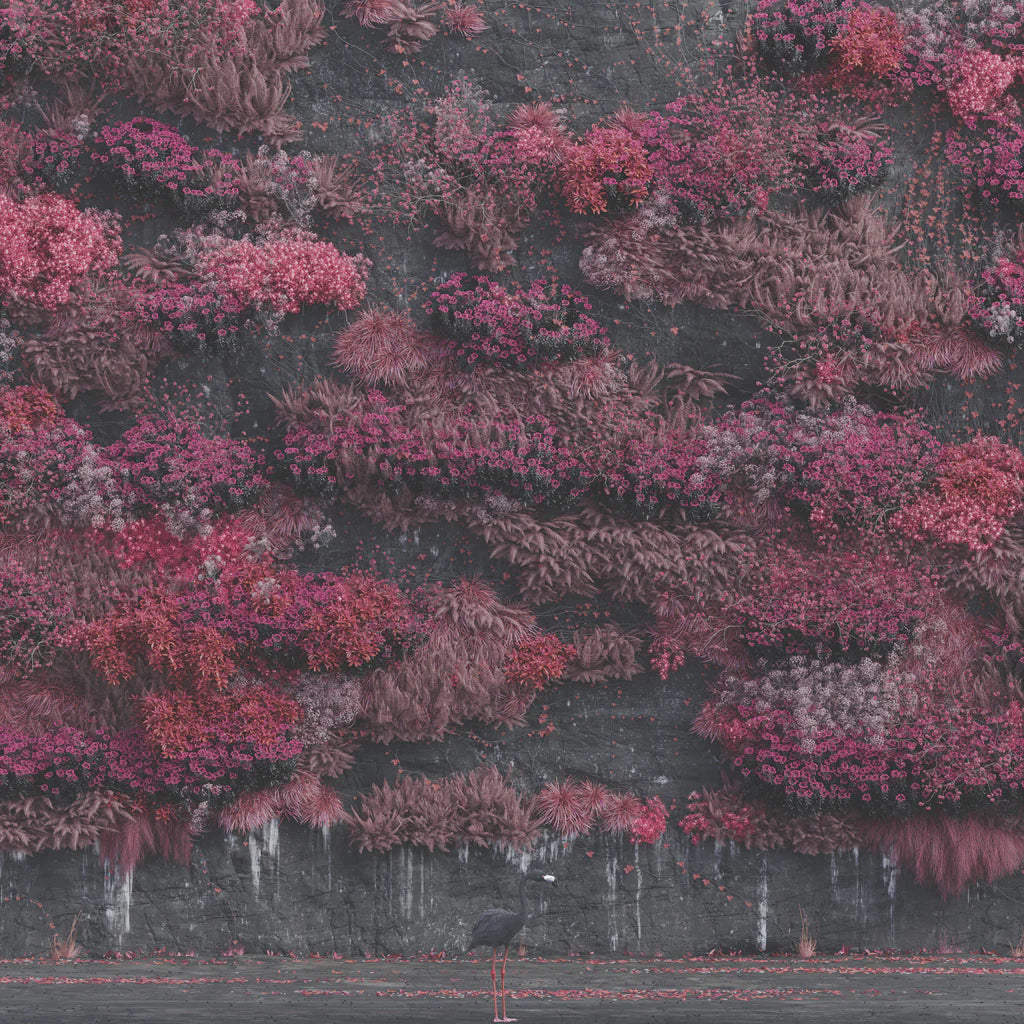 Editorial Picks: The Best Albums of 2025 So Far