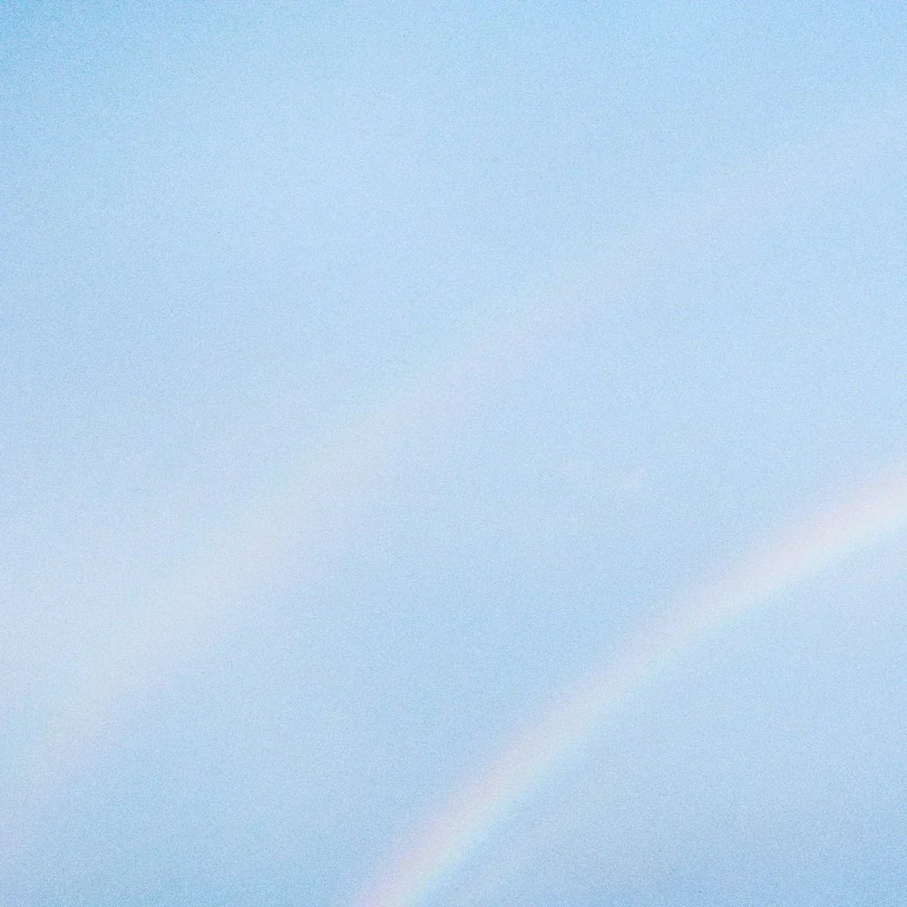 Editorial Picks: The Best Albums of 2025 So Far