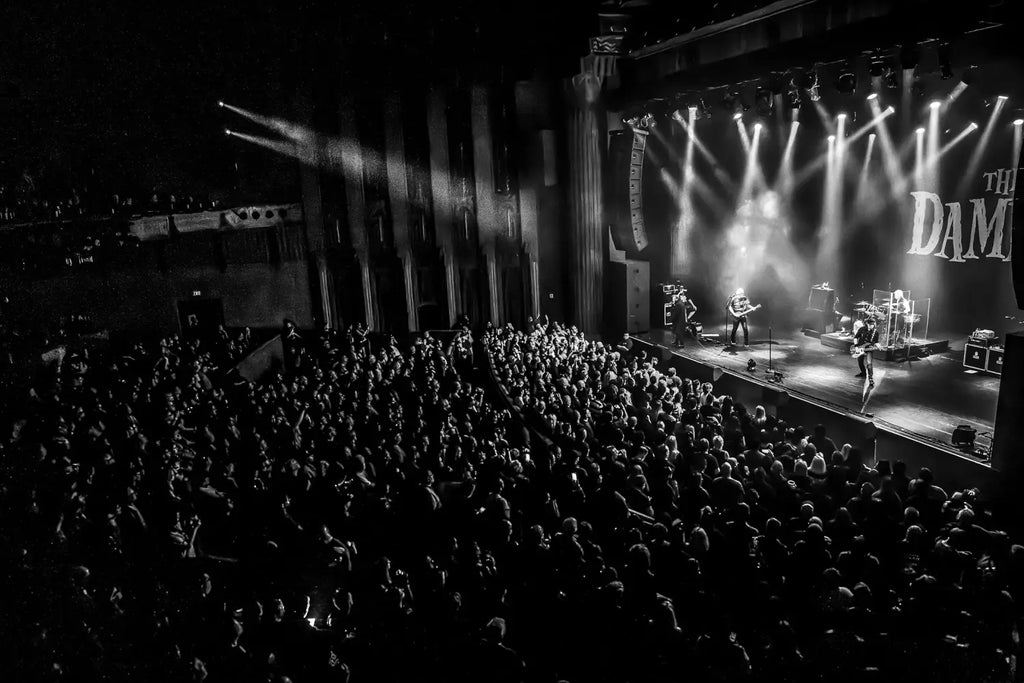 The Damned Remain Punk’s Celebrated Outliers