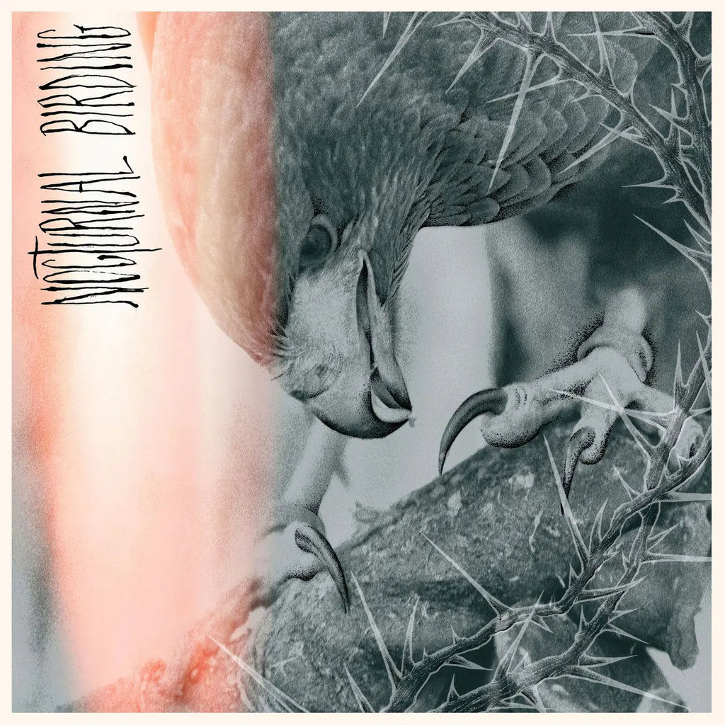 NEW FLESH: Releases from Orbit Culture Author & Punisher AFI and More