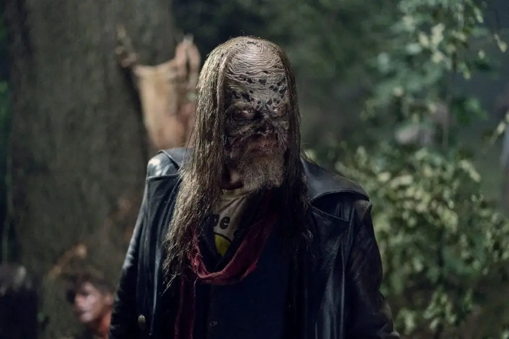 The Walking Dead announce spinoff series featuring Daryl and Carol