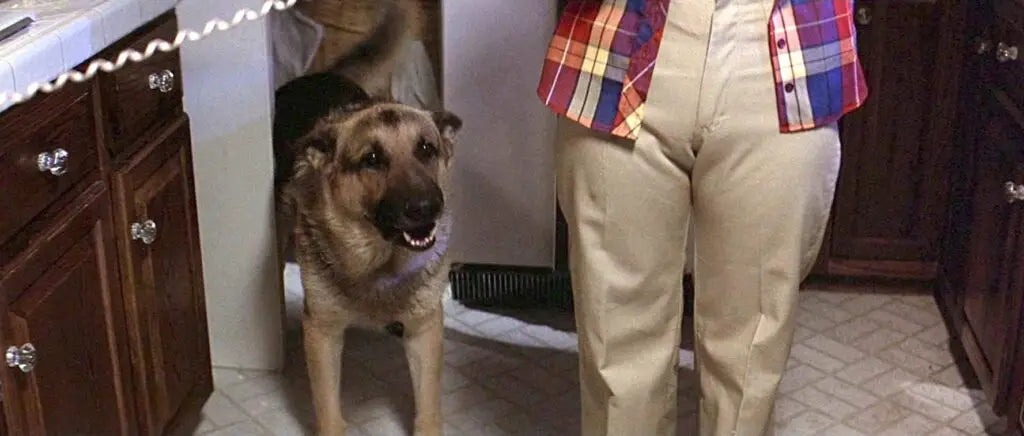 The Thirteen Most Memorable Kills of the ’Halloween’ Franchise