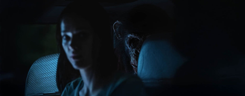 Creature Feature Showdown: ’Primate’ vs ’Killer Whale’