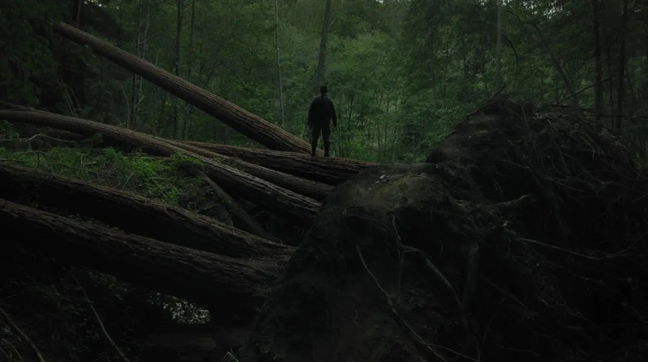 Image result for sator movie